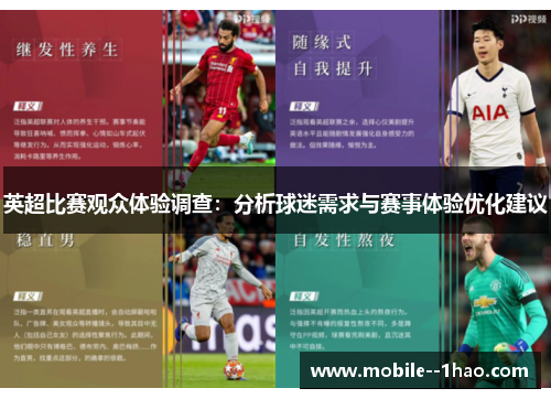 英超比赛观众体验调查：分析球迷需求与赛事体验优化建议