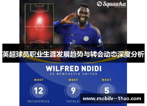 英超球员职业生涯发展趋势与转会动态深度分析 英超球员职业生涯发展趋势与转会动态深度分析