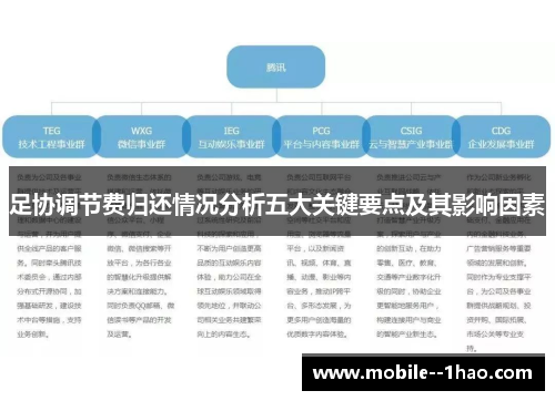 足协调节费归还情况分析五大关键要点及其影响因素