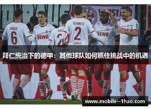 拜仁统治下的德甲：其他球队如何抓住挑战中的机遇