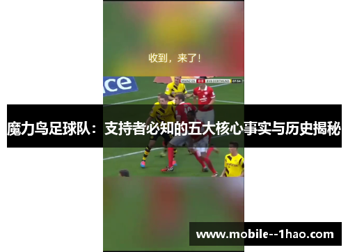 魔力鸟足球队：支持者必知的五大核心事实与历史揭秘
