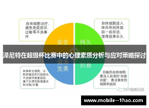 泽尼特在超级杯比赛中的心理素质分析与应对策略探讨